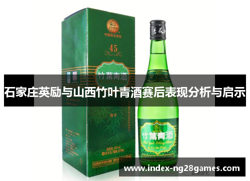 石家庄英励与山西竹叶青酒赛后表现分析与启示