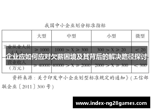 企业应如何应对欠薪困境及其背后的解决路径探讨