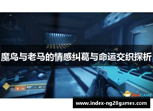 魔鸟与老马的情感纠葛与命运交织探析