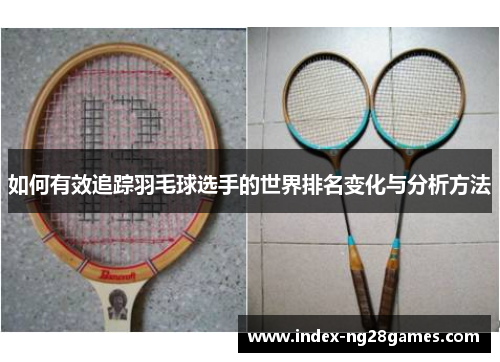如何有效追踪羽毛球选手的世界排名变化与分析方法