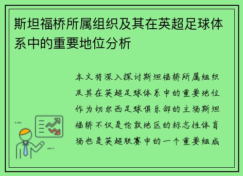 斯坦福桥所属组织及其在英超足球体系中的重要地位分析